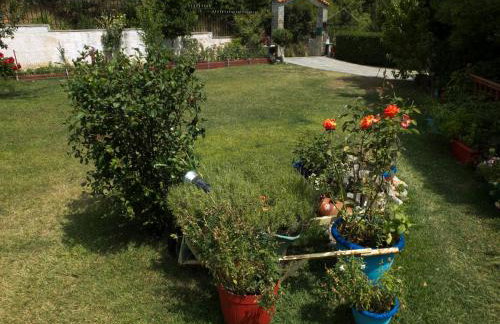 ''The VILLAge'' - Foto 8