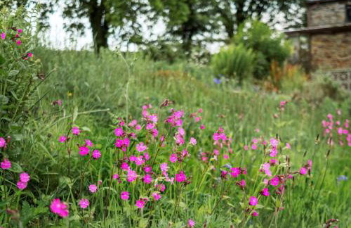 1 Bed in Yelverton oc-cammo - Foto 32