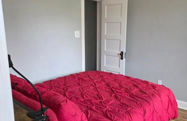 Beautifully Renovated Downtown 1Bed 1 Bath Apt, Pet Friendly - Foto 20