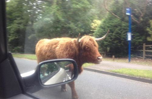 Perfect holiday Home from Home , three bedroom house for 5 guests - Foto 7