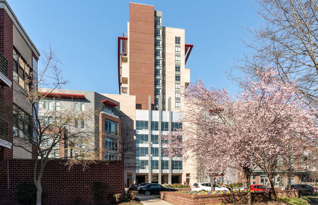 Kasa Alexandria Washington - Foto 1