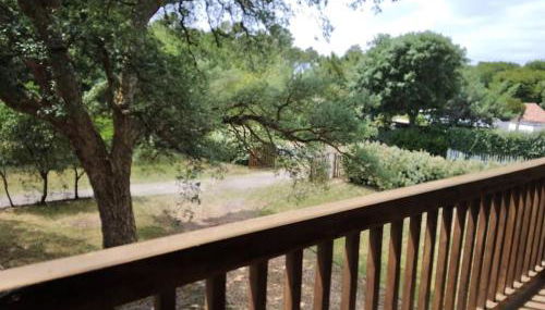 Papillon - Foto 2, Garden view