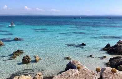 Ale house experience - Foto 33