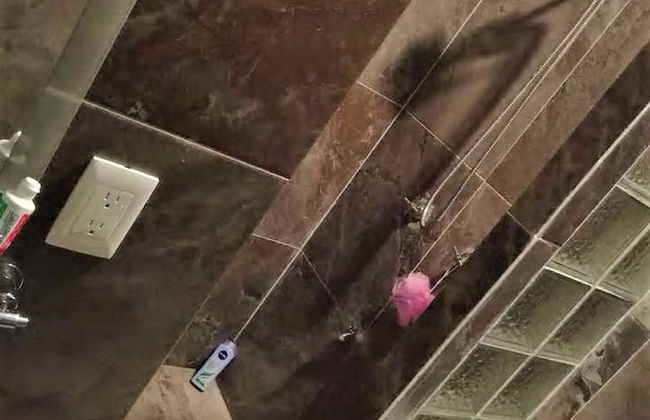 Kaeli's Caribbean Studios - Photo 50