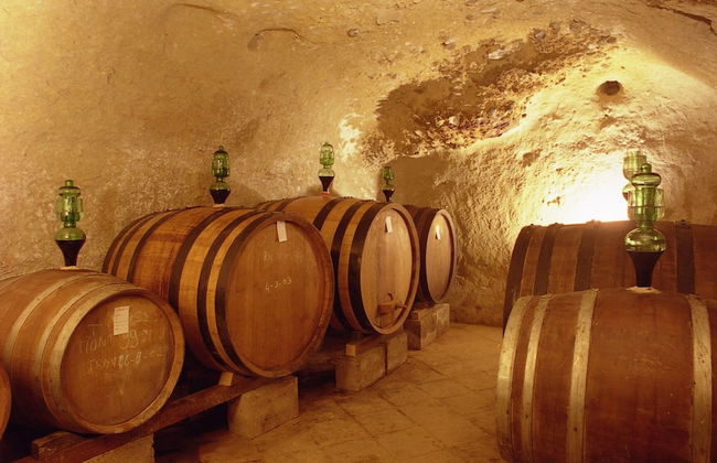 Tenuta S. Agnese - Photo 34