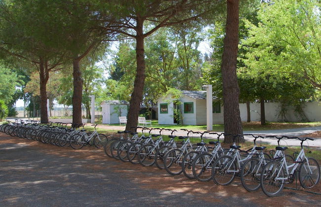 Masseria Macchia & Relais San Pio - Foto 19