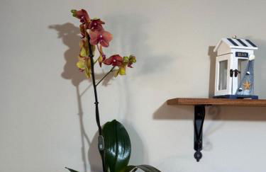 Casa Archi - Foto 49