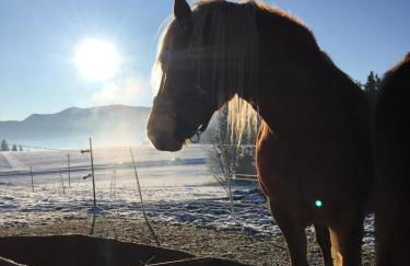 Ferienhof Steingaden - Foto 20