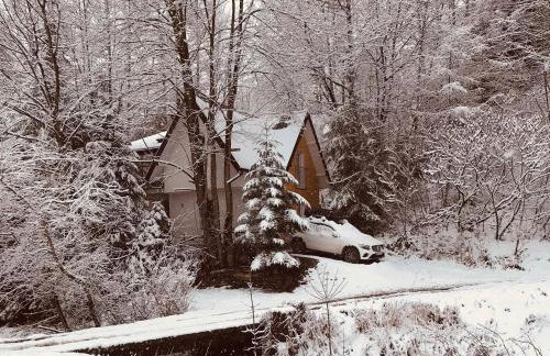 Pasieka - Dom Wypoczynkowy - Foto 24