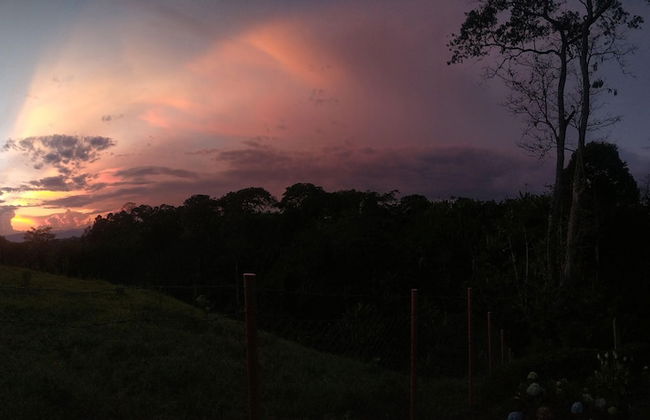 Entre Guaduas - Photo 43