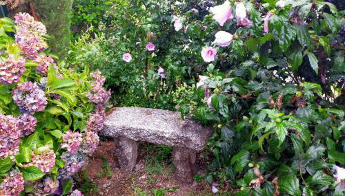 Senda Verde do Salnés - Foto 4, Garden