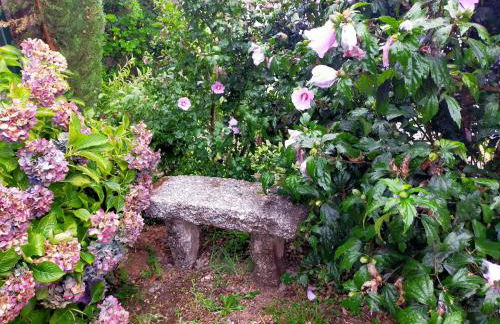 Senda Verde do Salnés - Foto 4