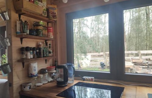 Przystań Zakapiora - Foto 14