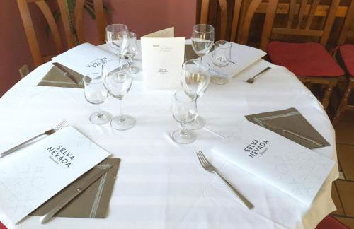 Apart-Hotel Selva Nevada - Foto 34