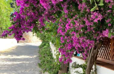 Patmos Villas - Foto 56