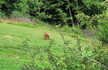 Gîte de la Ferme de la Comté - Foto 28