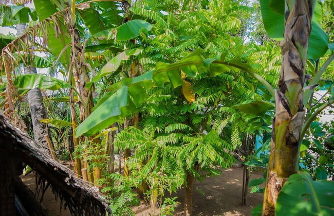 Nilaveli Beach Inn - Photo 18