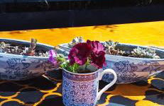 Accessible Luxury - Foto 50