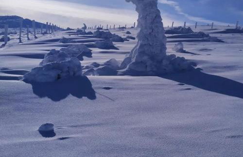 Gîte confortable pour 6 près des pistes, animaux admis - FR-1-496-138 - Foto 26