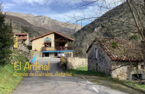 Apartamentos El Ardinal - Foto 1