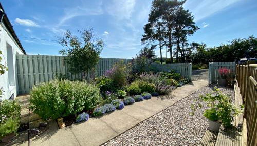 No 1 Ramageton at Carnell Estates - Foto 2, Garden, Garden view