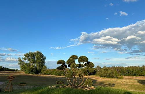 Balkon-Studio im Hotel Reindahls - Foto 12