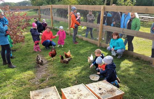 Am alten Speicher 1 - Foto 15