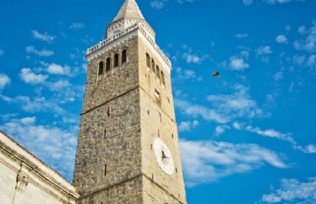 Privato - Escursione di un'intera giornata a Lipica da Lubiana - Foto 1