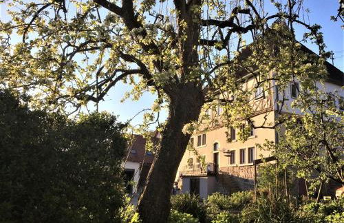 Beim Schloß Michel - Foto 1