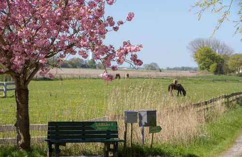 Fischerhäuschen am Kurpark - Foto 22