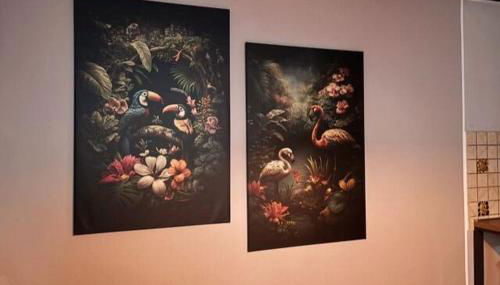 Maison Iris - Photo 4