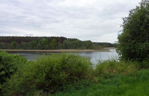 Bungalow am Küstrinsee bei Lychen - Photo 6