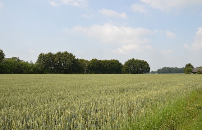 Pet-friendly Getaway - Photo 33