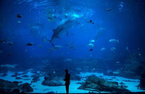 Suite Ateneo By Silastur - Foto 48