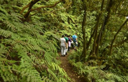 Balcón Atlantida - Foto 28