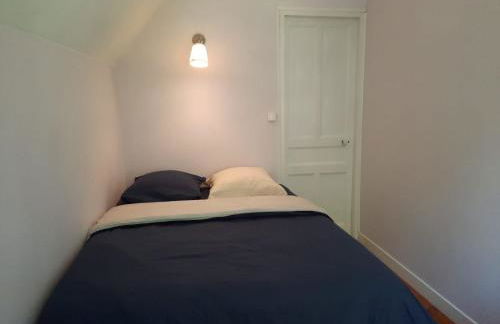 Les Fougères - Bois de Cise - Foto 10