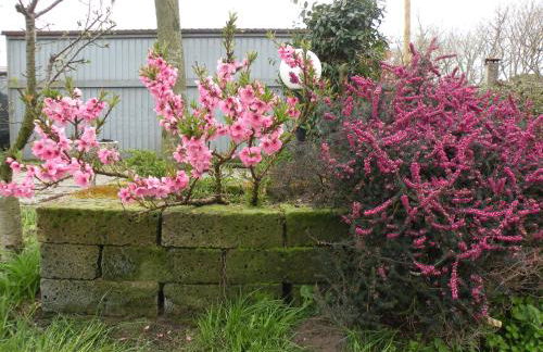 Casa Oriana - Foto 35