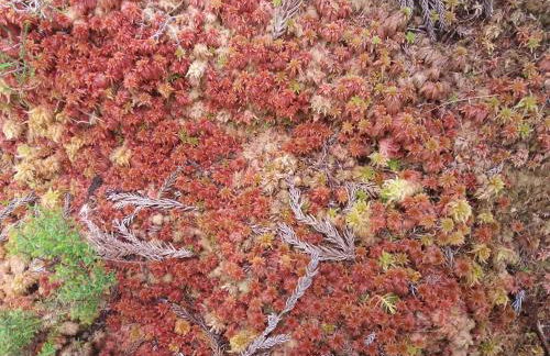 Vivenda Areias - Photo 30