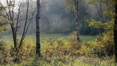 FeWo Landzeit - Foto 4