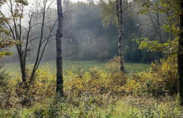 FeWo Landzeit - Foto 4