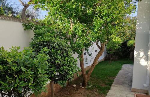 Villa Carolina - Foto 16