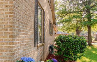 Ida's Oasis - Foto 57