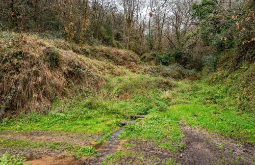 La Manzana - Foto 14