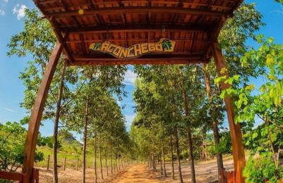 Chácara Aconchego - Foto 39