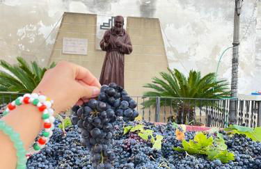 B&B Borgo Monacizzo - Foto 76