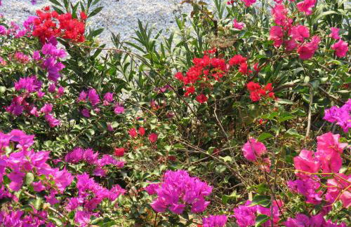 Finca RustiQ - Photo 21