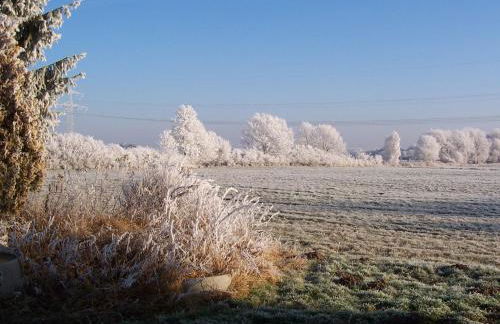 Hof Rosenstein - Foto 11