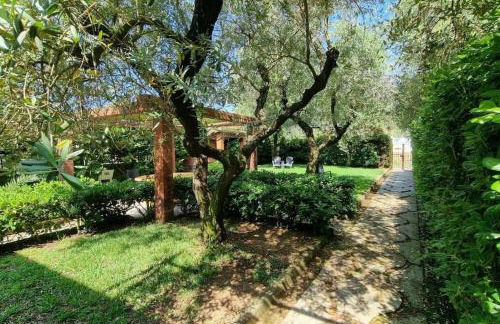 Villa degli Ulivi a pochi passi dal mare - Foto 3