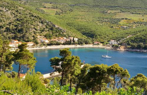 Studio Apartment Lile - Foto 47