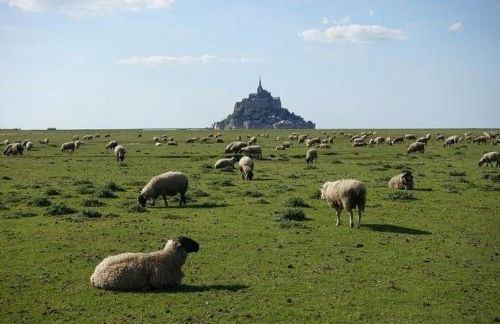 Au Mont De La Rive #Jaccuzi et Mont-Saint-Michel # - Foto 22